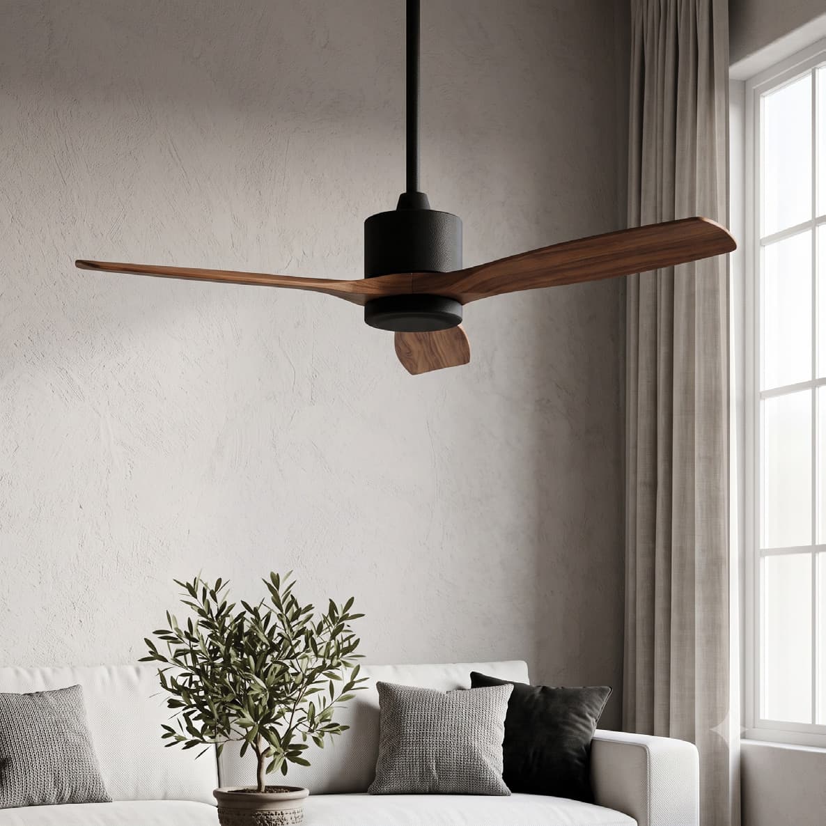 Designer Fans